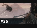 【実況】ゲーム下手でも遊びたいSEKIRO　#25