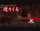 【縛り実況】武器が使えないMHP2G Part10