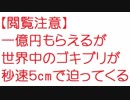 【閲覧注意】一億円もらえるが世界中のゴキブリが秒速５cmで迫ってくる【2ch】