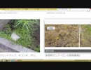 遺伝子を破壊する除草剤と警察民営化の阻止について（NWO阻止マニュアルを作成する第133回）【沢村直樹・公式放送アーカイブ】