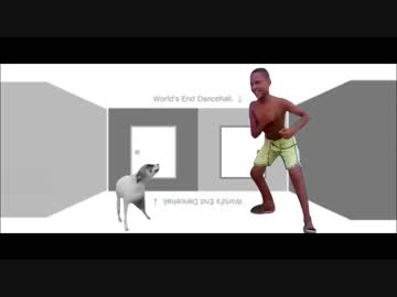 Brazil Dog Dancehall