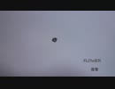 FLOWER  Music video