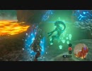 厄災を振り払う剣となれ ゼルダの伝説ブレスオブザワイルドを実況 番35
