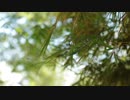 Pexels Videos 2115989　仁部聡和
