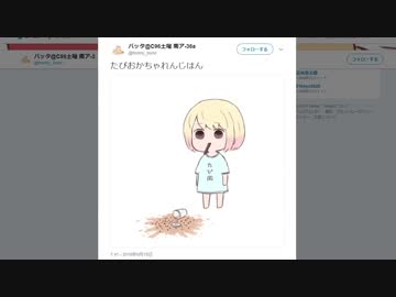 バッタ氏、みゆはんに怒られる