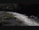 Pexels Videos 2286302　仁部聡和