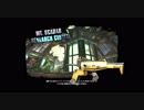 Borderlands 2 DLC5博士戦の参考に（マラソン仕様）