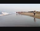 Pexels Videos 1990658　宗村港