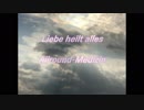 EVHA91Deutsch