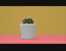 ワクチンについて話そう　集団免疫はなぜ大事？