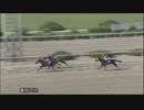 2019年6月20日園田競馬10R ＪＣＳファイナルステージ第１戦(C1) リュウチャン