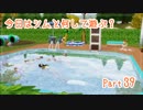 【Sims4】今日はシムと何して遊ぶ？ Part39【ゆっくり実況】