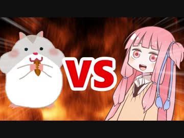 茜ちゃんVSハムスター