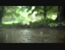 Raindrops in Super Slow Motion　