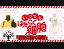 働かない人の細胞　「いつでもはたらく細胞」　18日目