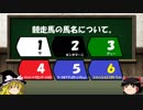 競走馬の馬名について