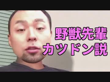 野獣先輩カツドン説