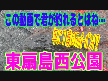釣り動画ロマンを求めて 265釣目（東扇島西公園）