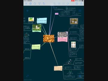 失敗しないジャガイモ栽培の方法