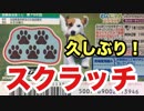 【新発売！】わんにゃんクラッチをぱんださんがやってみた！#113