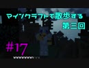 【実況プレイ】広大な世界で散歩する【Minecraft】【第三回】#17