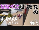 【2人で】魔の第５ステージが始まる…【Human:Fall Flat】part3