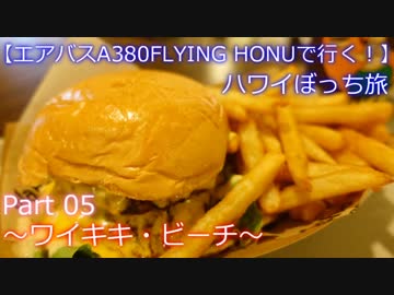 【フライングホヌの背に乗って】　Ｐａｒｔ５　～ワイキキ　ビーチ～　【ハワイぼっち旅】