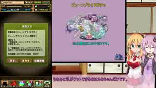 結月ゆかりのパズドライフ　13