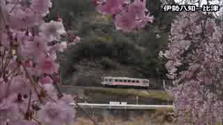 【のら】撮り鉄のお花見　名松線・高山本線