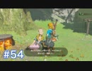 マスターモードで世界を救う ゼルダの伝説BotWを実況　part54