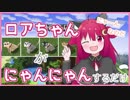 ロアちゃんがにゃんにゃんするだけ