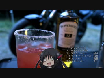 擬人化バイクとボッチライダー　秩父キャンプ　後編