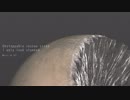 42!「Unstoppable rescue siren I only look stunned」【MV】