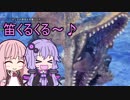 【MHWIBβ】笛しか使えないゆかりの野良マルチ ティガレックス