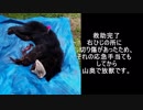 （番外編）変態忍者の、狩猟＆有害鳥獣駆除従事活動記・その７４＋
