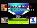 柴犬＆ハリネズミとテニスゲームで遊んでみた【ゆっくり？実況】