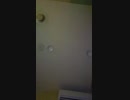 オッサンが歌ってみた。ルカルカ★ナイトフィーバー。