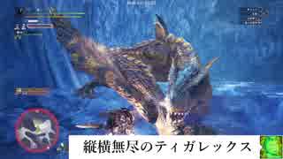 【ＭＨＷ】双剣でベータテスト【轟竜ティガレックス】をゆっくり討伐