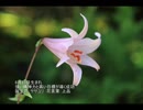 誕生日に贈る言葉～6月23日生まれの繊細で優しいあなたに－聴きものがたり