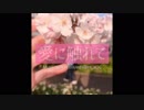 小林あい - 愛に触れて(Official Music Video)
