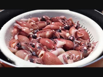 ホタルイカ掬いに行こう！