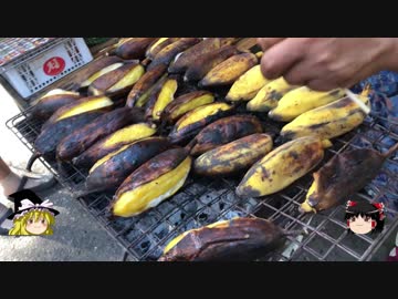 【ゆっくり】チキンの旅日誌　タイ グルメ旅行④　ナコーンナーヨックマーケット編