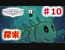 【Hollow Knight】虫嫌いのホロウなナイト#10