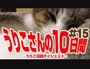 うりこさんの10日間 - 2019#15