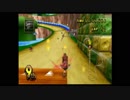 パラガスカートWii　CTGP Ver.1.03.1074追加分コース　初見