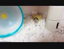 引きこもりの食事を盗撮