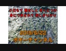 ボギー大佐の言いたい放題　2019年06月22日　21時頃　放送分
