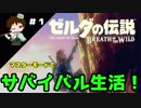 【実況】マスターモードでやりこみサバイバル生活！！　Part1　【ゼルダの伝説　BotW】