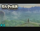 【続編決定記念】のんびりと伝説「ゼルダの伝説～ブレスオブザワイルド～」　＃１