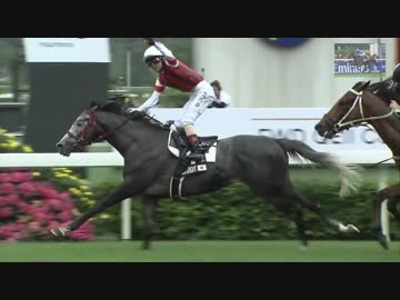 2019 競馬 上半期総集編 フェブラリー～宝塚記念 Japanese Horseracing Summary